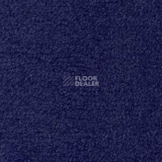 Ковролин Radici Forum Royal 2131 фото 1 | FLOORDEALER